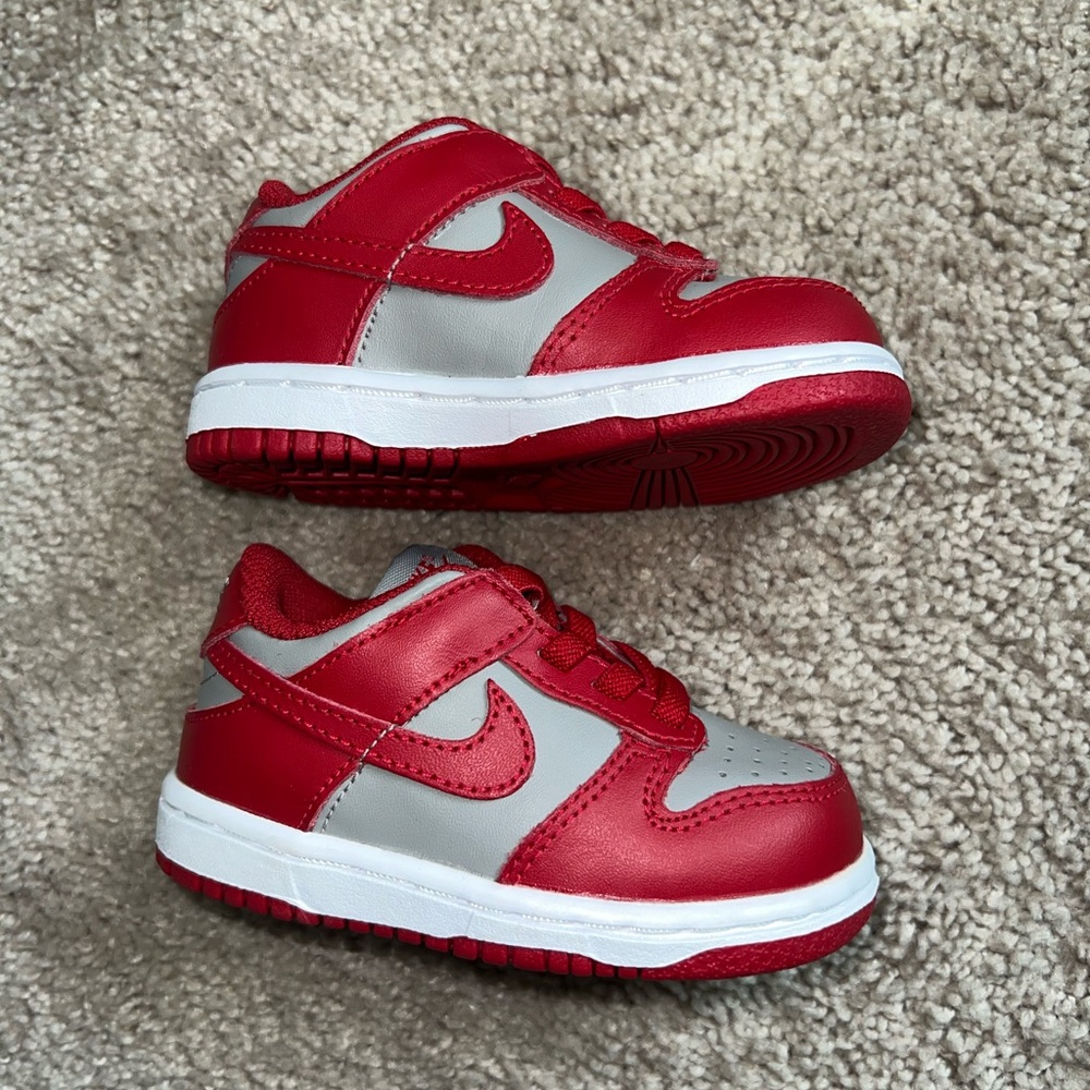 Nike Dunks 5C